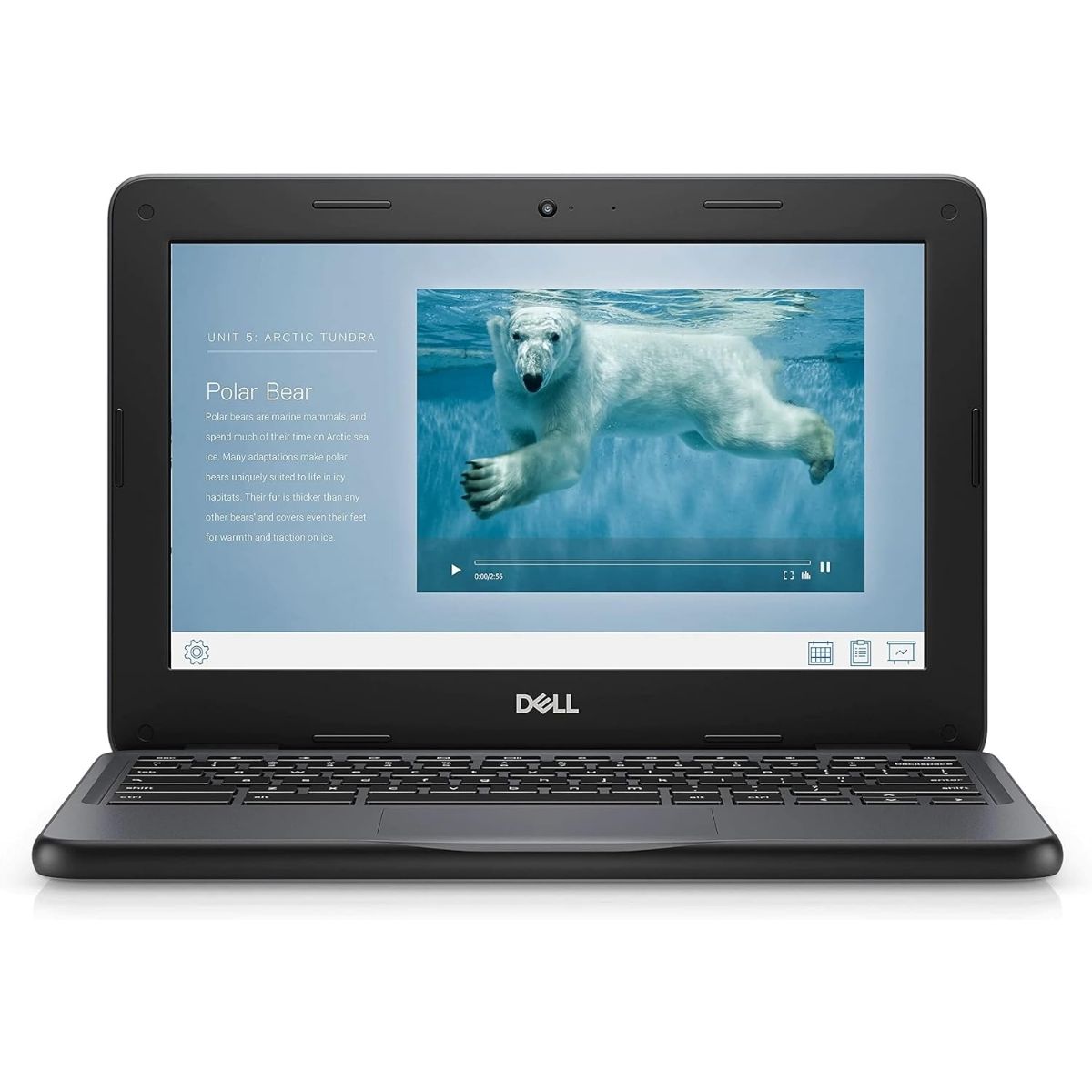 Notebook Chromebook Dell Latitude 3100 2 en 1 Celeron N4020 4GB 32GB SSD 11.6" HD Touch