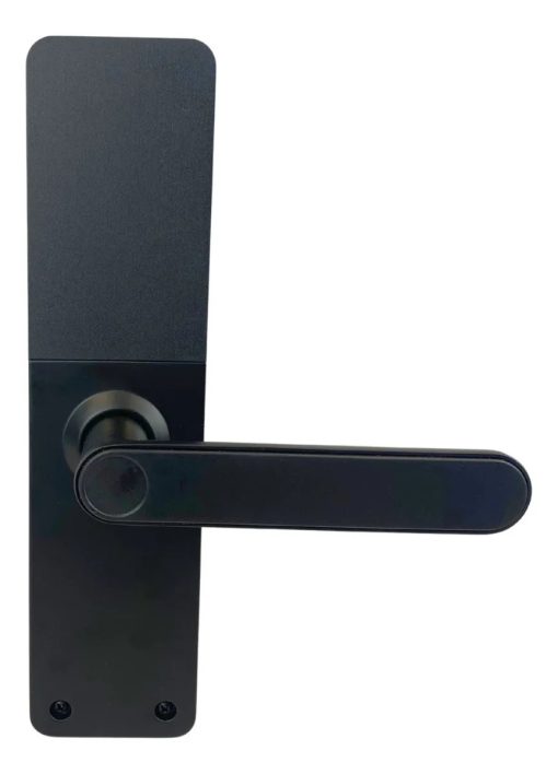 Cerradura Inteligente Huella Digital Clave Wifi Smart App Color Negro