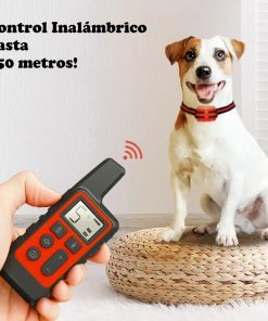 Collar Perro Adiestra Entrena Remoto Eléctrico Sumergible