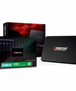 Disco SSD 256GB Biostar Serie S160