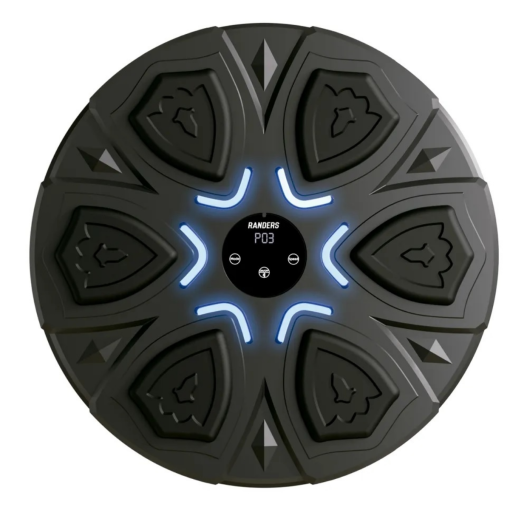 Maquina de Boxeo inteligente Randers ARG-BOX-002