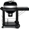 Parrilla Barbacoa Napoleon Carbón PRO CART 3 hasta 23 hambur