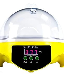 Incubadora Eléctrica Digital Para 7 Huevos
