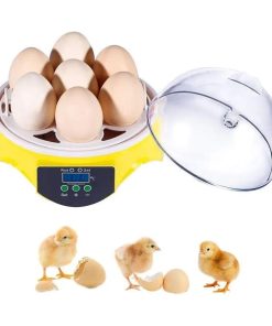 Incubadora Eléctrica Digital Para 7 Huevos
