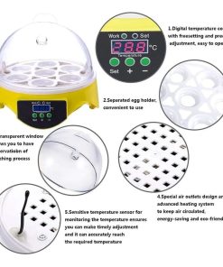 Incubadora Eléctrica Digital Para 7 Huevos