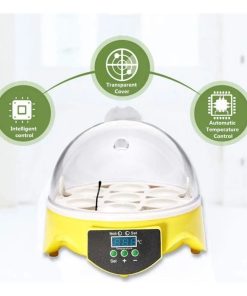 Incubadora Eléctrica Digital Para 7 Huevos
