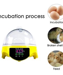 Incubadora Eléctrica Digital Para 7 Huevos