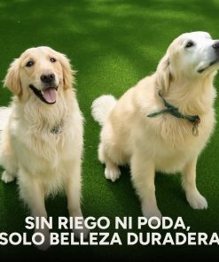 Césped Sintético 50 M2 Pasto Artificial Rollo Decoración 2cm