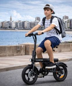Bicicleta Eléctrica Luxor Eb9 Rodado 16'' 500w 120kg